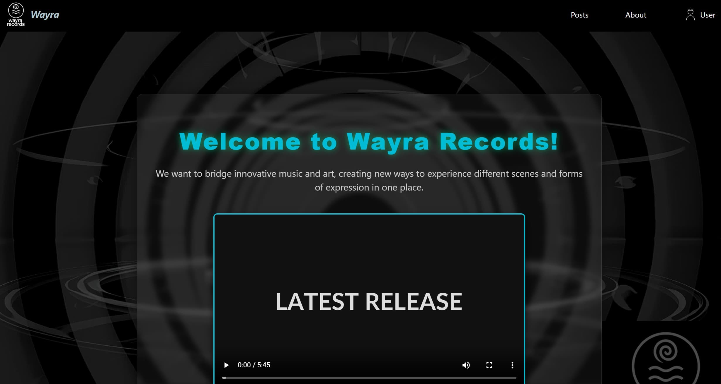 Music Record Label Environment